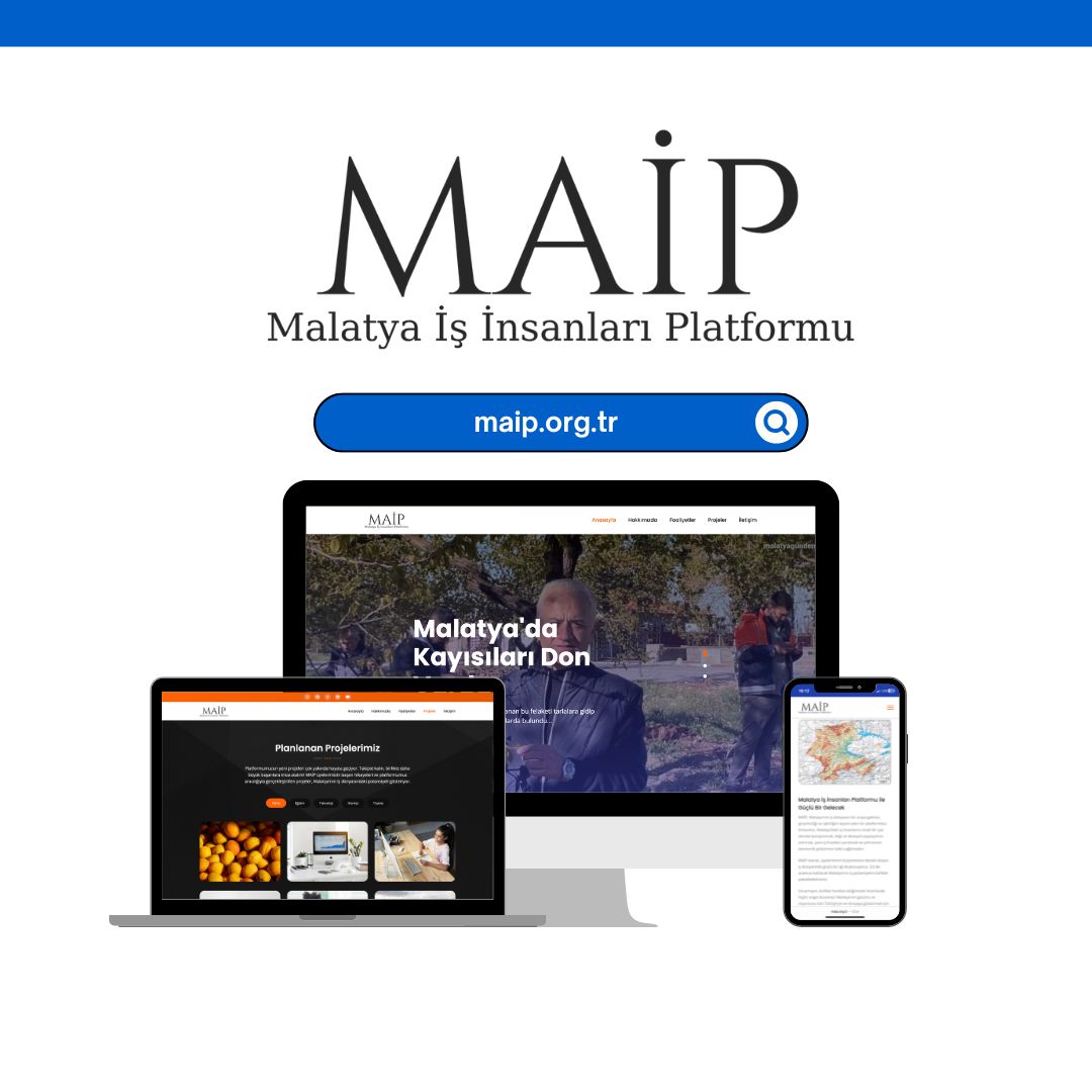 MAIP Website Projesi